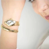 Just Cavalli JC1L306M0035 Kadın Kol Saati thumbnail 2