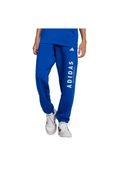 adidas Çocuk  Mavi  Eşofman Altı J ALLSZN GFX PT JC7613 - 2
