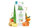 Brit Care Skin & Coat Somonlu Tahılsız Büyük Irk Yetişkin Köpek Maması 12kg thumbnail 2