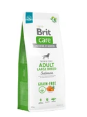 Brit Care Skin & Coat Somonlu Tahılsız Büyük Irk Yetişkin Köpek Maması 12kg thumbnail 1