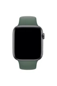 Apple Watch Slikon Kordon 38-40mm thumbnail 3