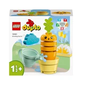 Duplo İlk Büyüyen Havucum 10981-18 Ay Ve Üzeri Küçük Çocuklar İçin Eğitici Oyuncak Yapım Seti - 1