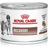 Royal Canin Köpekler ve Kediler İçin Recovery Konserve Maması  195 gr - 1