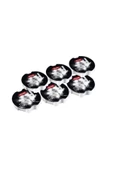 Miele PowerDisk 6 lı Set - 1