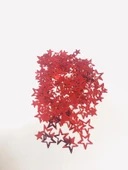 MASA SERPME KONFETİ YILDIZ KIRMIZI - 1