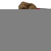 Katlanır Kamp Piknik Sandalyesi - Bardaklıklı - (DY.001) - Kırmızı - Taşıma Çantalı thumbnail 4