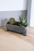 Fil Ayağı Dekoratif Taş Saksıda Mini Aranjman 01 - 2