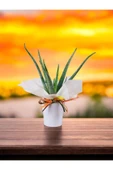 Hediyelik Aloevera ( Sevdiklerinize Sağlık Gönderme Zamanı ) No 6 thumbnail 2