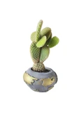 Tavşan kulağı kaktüsü dünya temalı beton saksıda thumbnail 3