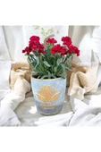 Dekoratif Taş Vazoda Anne Karanfili thumbnail 3