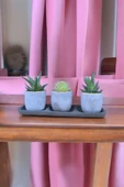 Üçlü taş saksıda kaktüs sukulent seti 01ad thumbnail 6