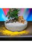 Hediyelik Bonsai Granit Çakıl Aranjmano thumbnail 1