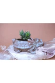 Taş Ejder Saksıda Sukulent thumbnail 3