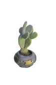 Tavşan kulağı kaktüsü dünya temalı beton saksıda thumbnail 2