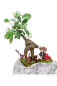 Pisagor Mini Ficus Bonsai Ve Sırt Sırta Sevgililer thumbnail 2