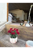 Taş saksıda Kırmızı Karanfil Mis Kokulu thumbnail 4