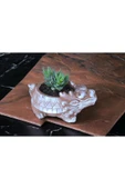 Taş Ejder Saksıda Sukulent thumbnail 2
