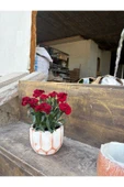 Taş saksıda Kırmızı Karanfil Mis Kokulu thumbnail 5