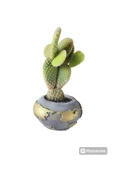 Tavşan kulağı kaktüsü dünya temalı beton saksıda thumbnail 1