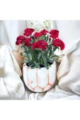 Taş saksıda Kırmızı Karanfil Mis Kokulu thumbnail 1
