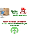 Saksıda Aşk Merdiveni Çiçeği ( 14 Lük Saksıda) Neprolepsis - 3