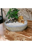 Hediyelik Bonsai Granit Çakıl Aranjmano thumbnail 2