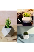Geometrik Saksılarda 3 Adet Kaktüs thumbnail 2