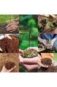 10 lt Ultra Organik Bitki Toprağı 17 çeşit karışımdan oluşur thumbnail 2
