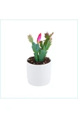 Yılbaşı Çiçeği Dekoratif Saksıda Schlumbergera 01x - 1