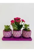 Mor Petek Model Trio Beton Saksıda Para Çiçeği Ile Kalanchoe(kalanşo) thumbnail 2