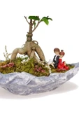 Stonehenge Ficus Bonsai Ve Sırt Sırta Sevgililer thumbnail 2