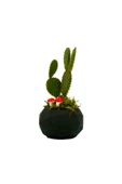 Geometrik Serisi Siyah Saksıda Opuntia Microdasys Rufida Kaktüs Tasarımı thumbnail 2