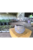 Yaprak desenli Beton orkide aranjman ve bonsai saksısı - 5