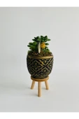 Siyah Mozaik Desenli Ayaklı Beton Saksıda Sukulent (crassula Springtime) Para Çiçeği - 2