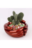 , Beton Saksı, Kaktüs & Sukulent Saksısı, Ev & Ofis Bitkisi, Saksı, Şekerlik, Dresuar, Elle Boyama thumbnail 1