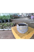 Yaprak desenli Beton orkide aranjman ve bonsai saksısı - 3