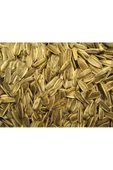 TALAS Kuruyemiş Kavrulmuş Ay Çekirdeği 500 G - 1
