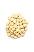 TALAS Kuruyemiş Ordu Kavrulmuş Fındık İçi 100 G - 1