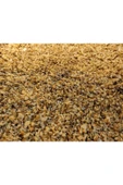 TALAS Kuruyemiş Pirinç Ceviz 2 KG - 1