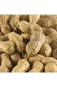 TALAS Kuruyemiş Çiğ Kabuklu Yer Fıstığı 500 G - 1