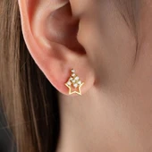 Vaoov 925 Ayar Gümüş Süzülen Taşlı Yıldız Küpe thumbnail 1