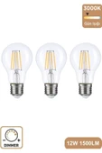 A60 Şeffaf 12W 3000K E27 Günışığı LED Dimmerli Ampul 3'lü Erd-304 - 1