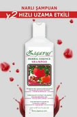 Zigavus Nar Ekstraktlı Şampuan 450 ml - 2