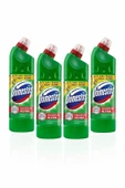 Dağ Esintisi 750 ml X 4 - 1