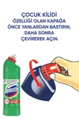 Dağ Esintisi 750 ml X 6 thumbnail 4