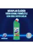 Cif - Domestos - Omo Temizlik Paketi - 4