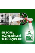 Krem Sprey Amonyak Çok Amaçlı Sprey 750 ml 2adet thumbnail 4