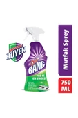 Banyo Ve Mutfak Temizleyici Yağ Çözücü Ve Kireç Sökücü Sprey Set (2X750 ML) - 4