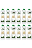 Krem Temizleyici Amonyaklı 750 ml 12 Adet - 1