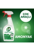 Krem Sprey Amonyak Çok Amaçlı Sprey 750 ml 2adet thumbnail 6